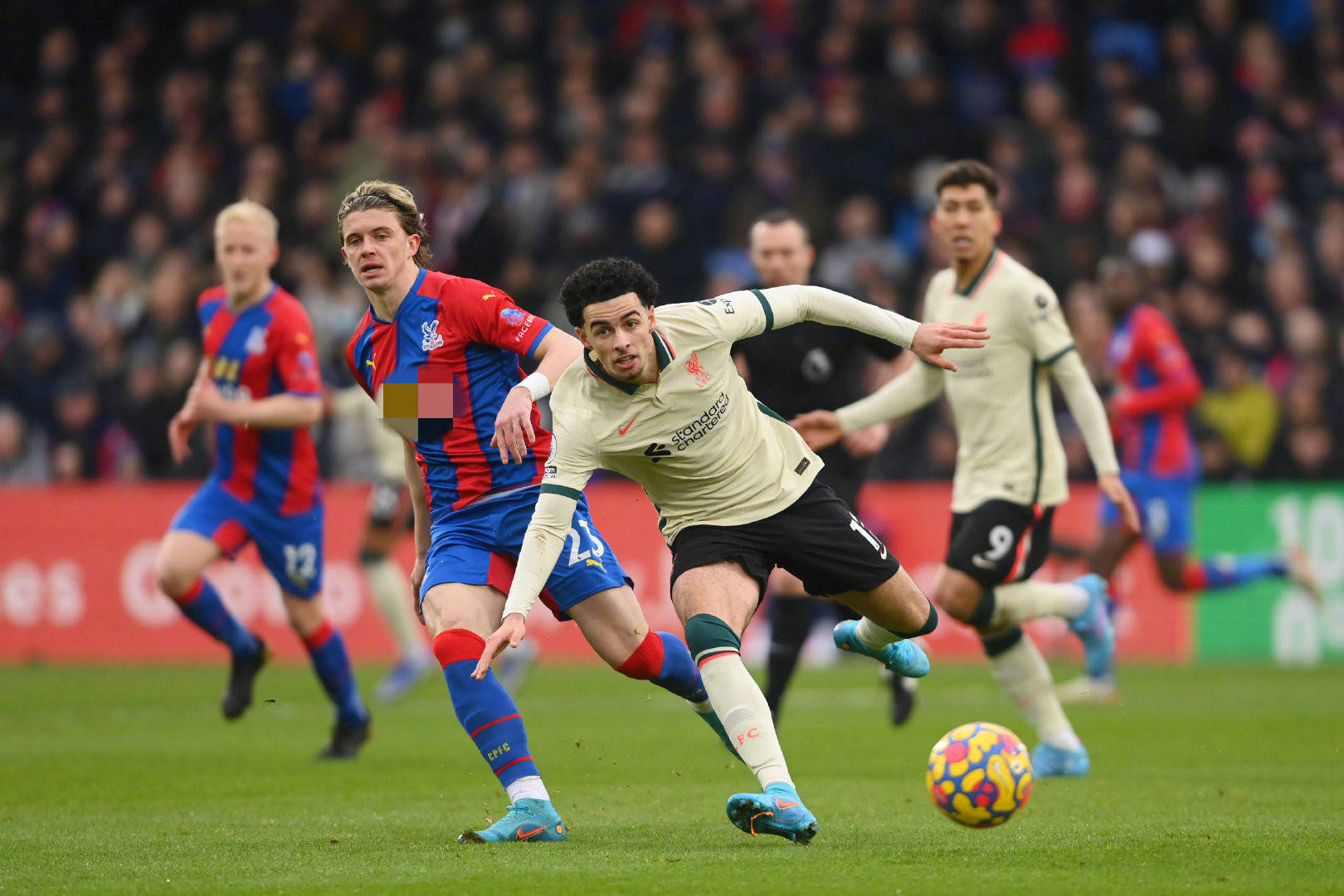 奴的信心 奴的信心